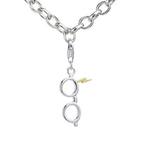 HARRY POTTER - Eclair & Lunettes - Clip Charme pour Bracelet