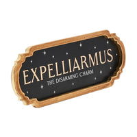 HARRY POTTER - Expelliarmus - Décoration Murale