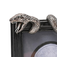 HARRY POTTER - Nagini - Cadre Photo 3D
