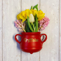 HARRY POTTER - Chaudron Gryffondor - Pot de fleur mural
