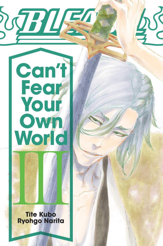 BLEACH - Can't Fear Your Own World - Roman - Tome 3