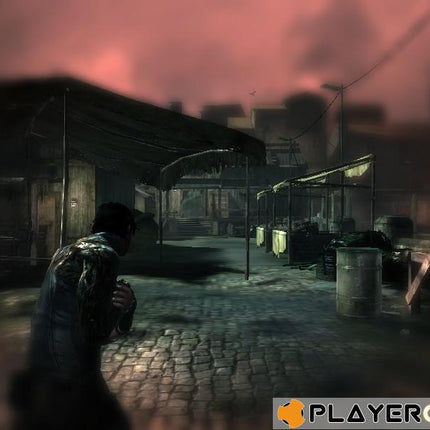 Dark Sector