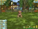 Puppy Luv : Animal Tycoon