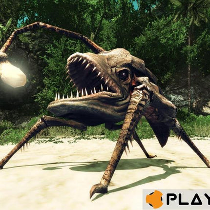 Risen 2 : Dark Waters