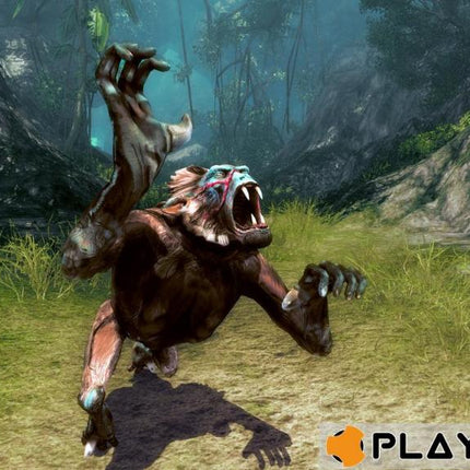 Risen 2 : Dark Waters