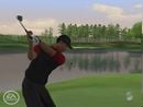 Tiger Woods 2006 (PLATINUM*)