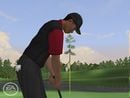 Tiger Woods 2006 (PLATINUM*)