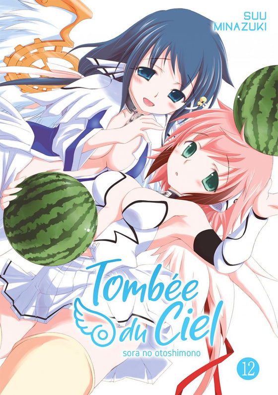 TOMBEE DU CIEL - Tome 12
