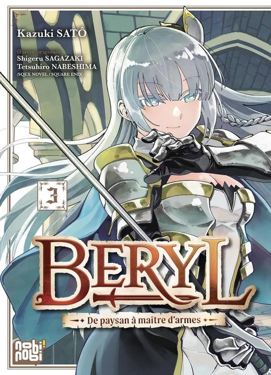 BERYL - DE PAYSAN A MAITRE D'ARMES - Tome 3