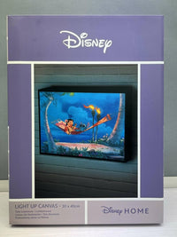 LILO & STITCH - Hamac - Canvas Lumineux 30x40 Cm