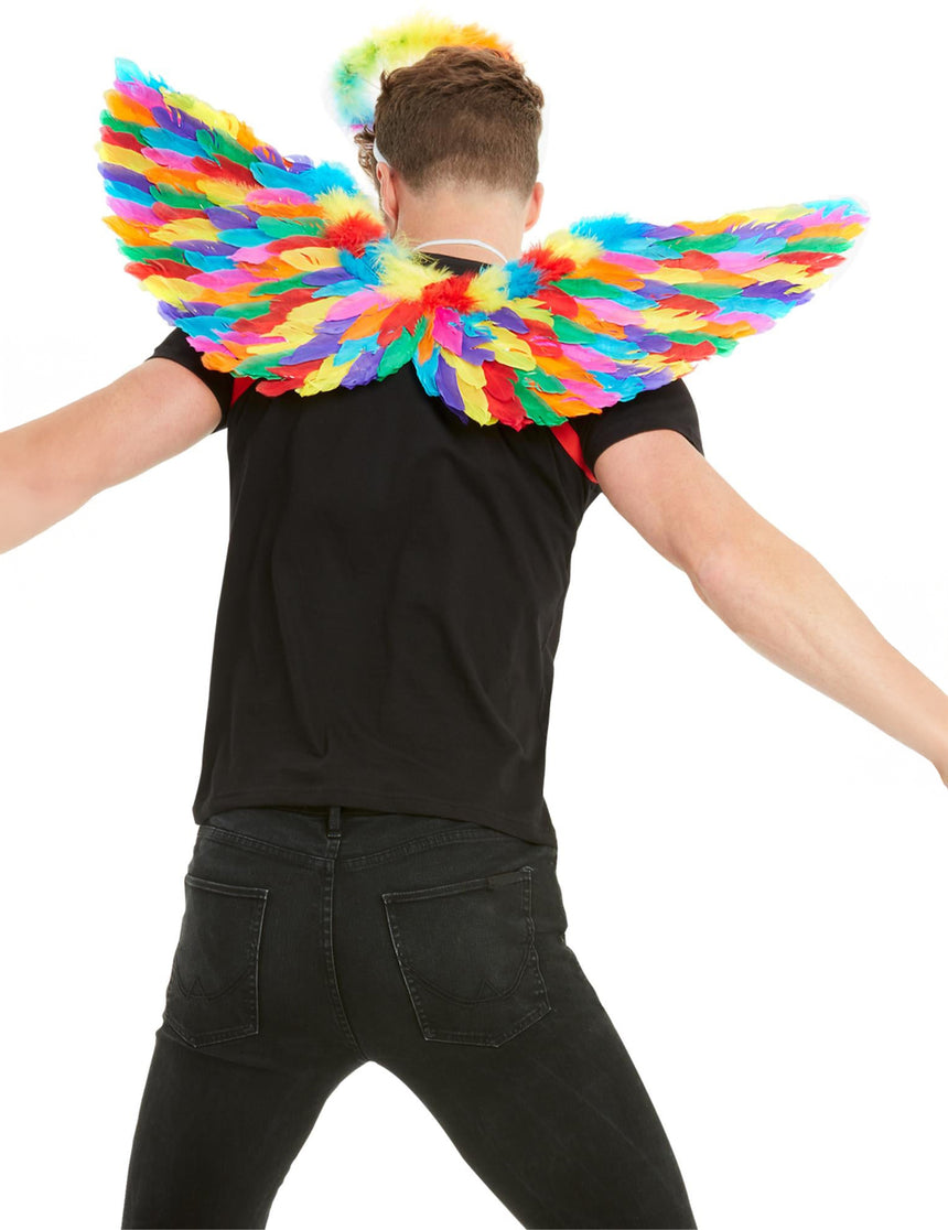 Ailes à plumes arc en ciel adulte