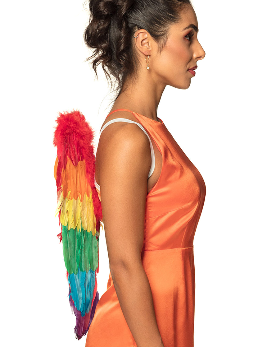 Ailes multicolores 50 x 50 cm adulte