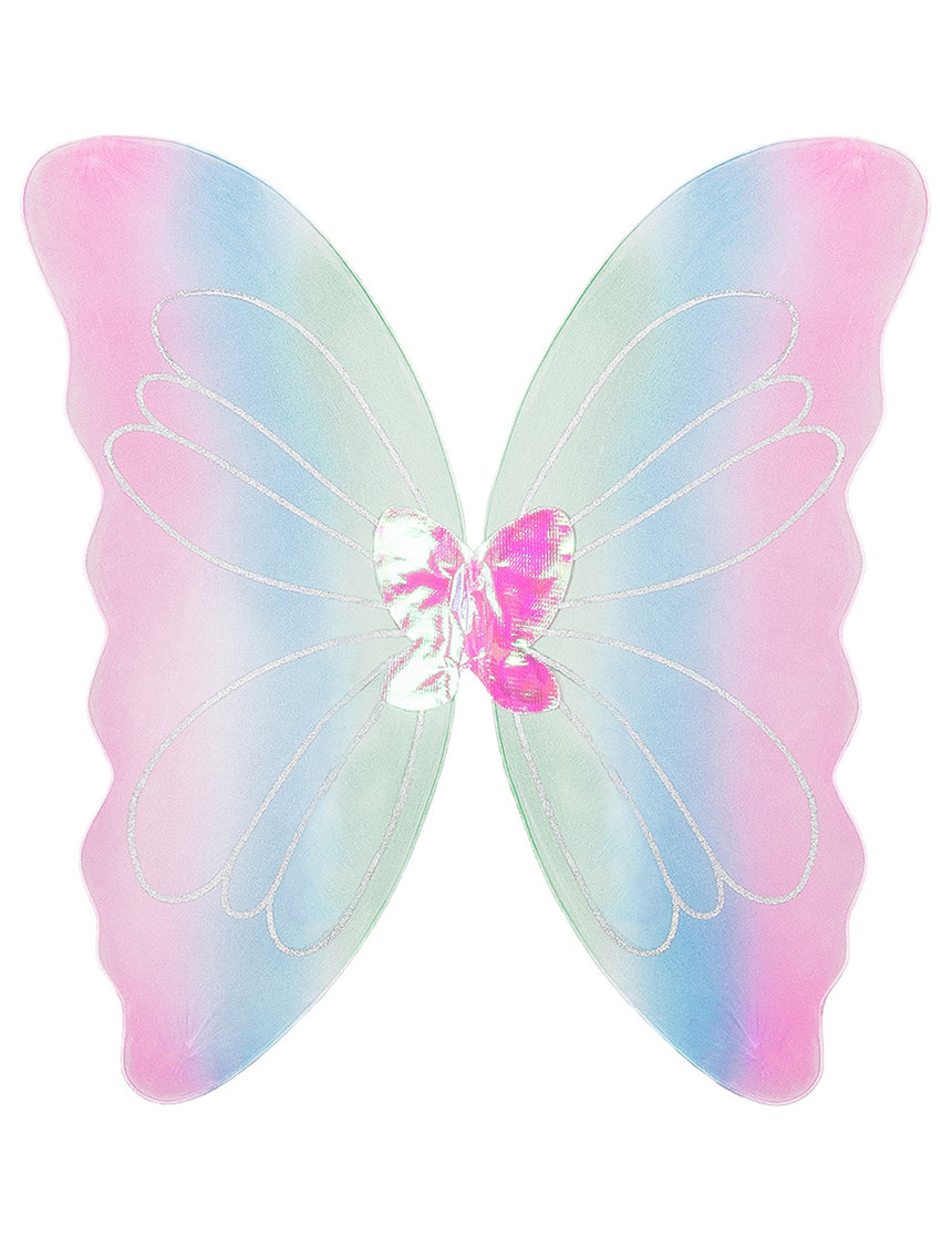 Ailes papillon multicolore