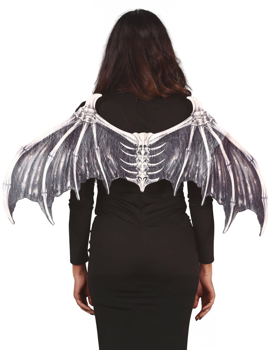 Ailes squelettes chauve-souris adulte