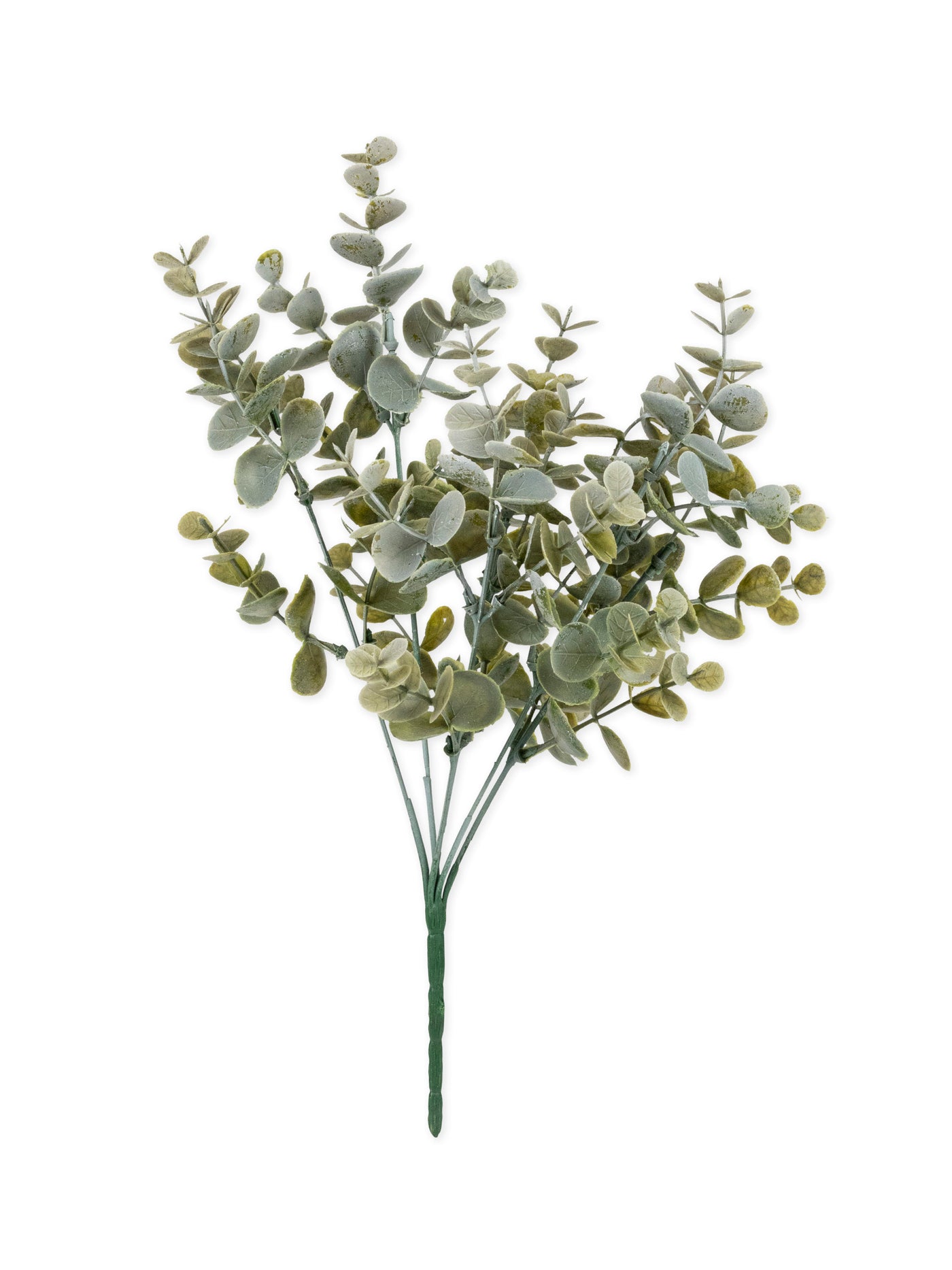 Bouquet feuilles eucalyptus vert 35 cm décoration végétale