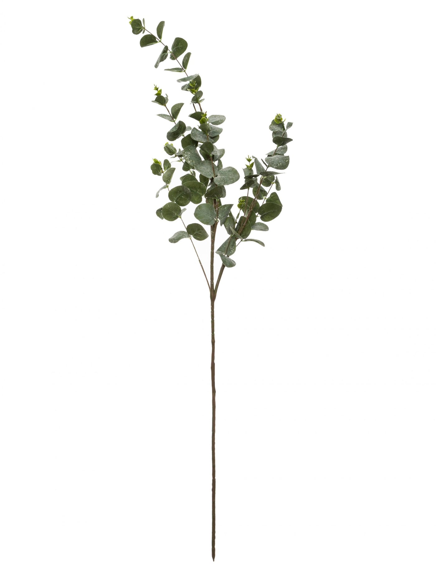 Branche d'eucalyptus 98 cm décoration naturelle