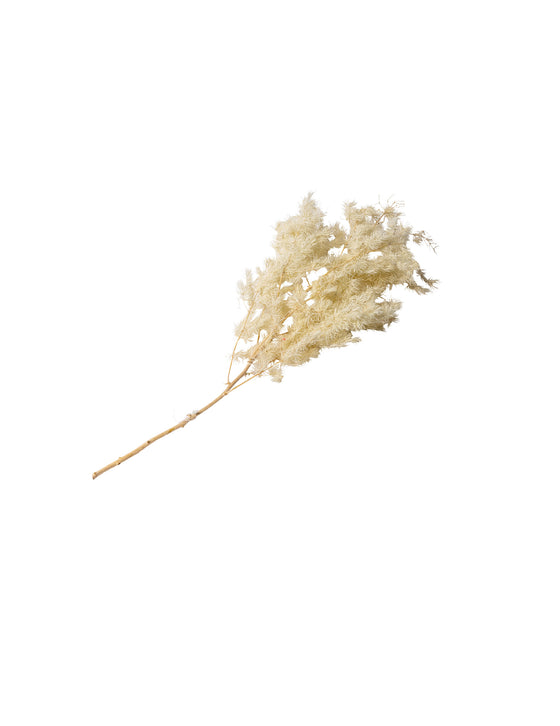 Branche de mini plumeaux naturels 50 cm ivoire bohème