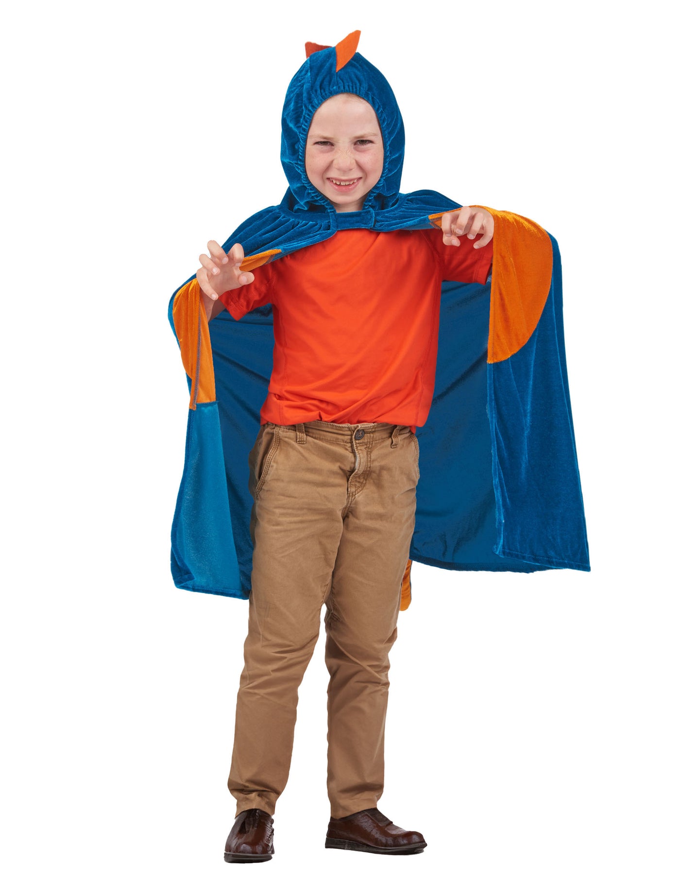 Cape dinosaure enfant