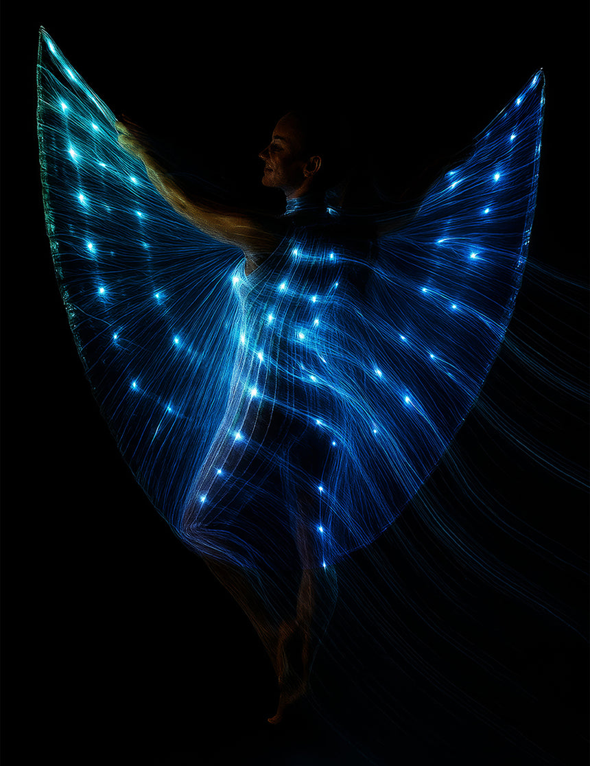 Cape Iris avec tiges et lumière 140 cm