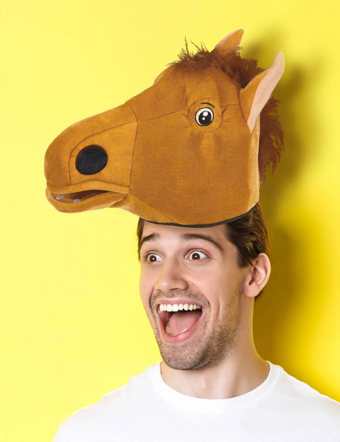 Chapeau cheval adulte