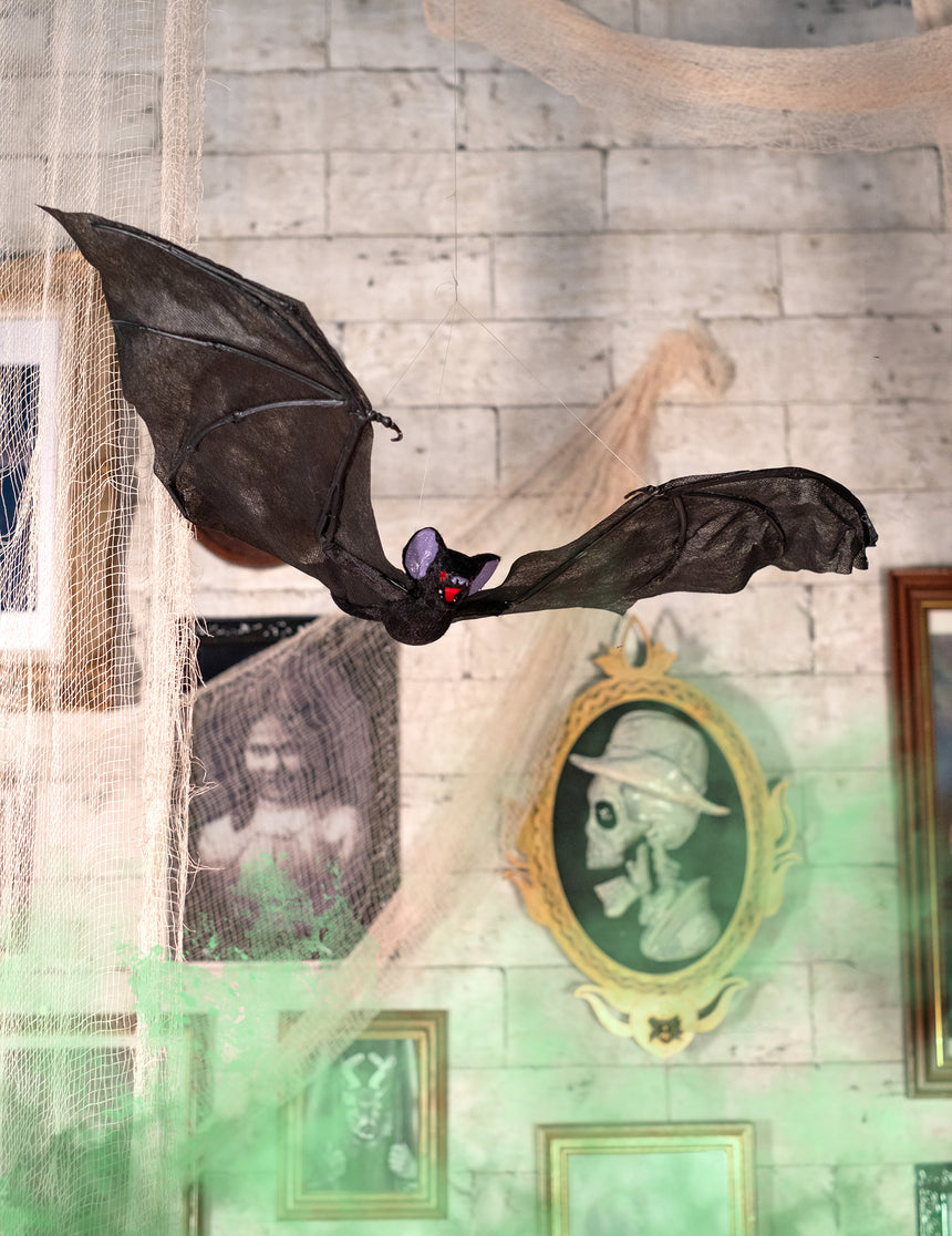 Chauve-souris volante 50 cm