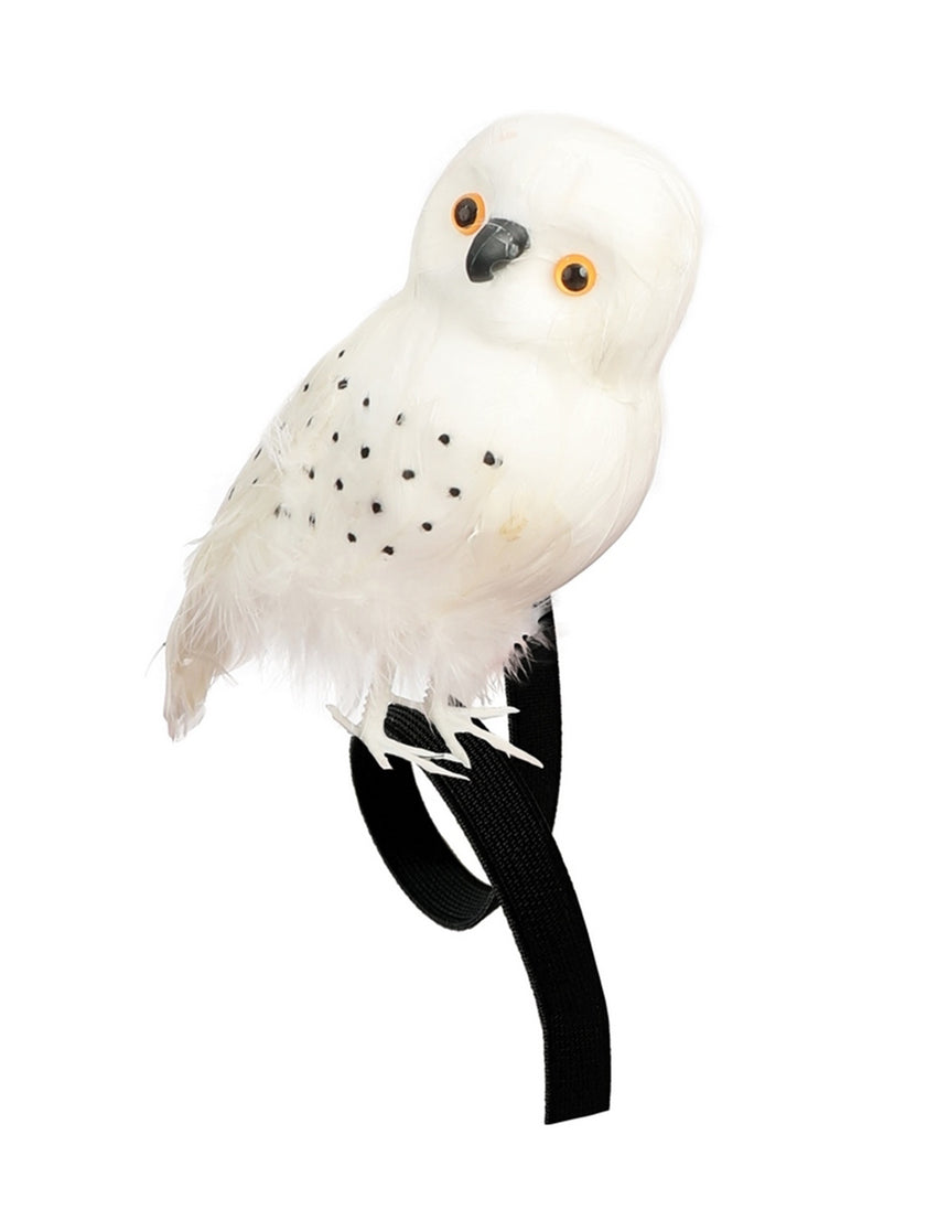 Chouette blanche de sorcier