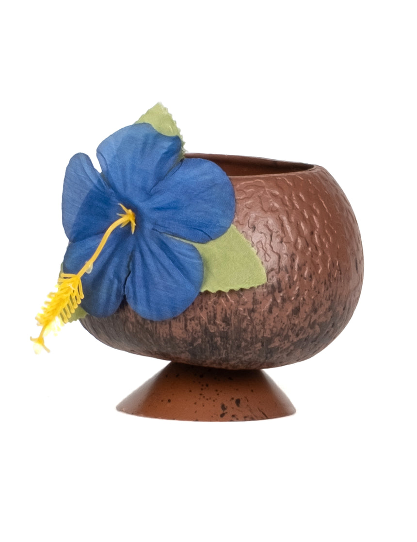 Coupe Hawaï noix de coco tropicale