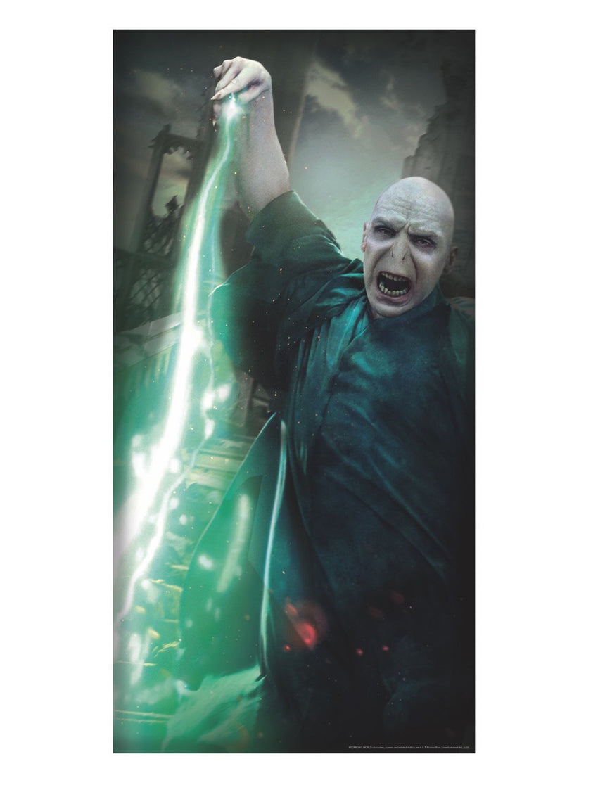 Décoration de porte Voldemort Harry Potter