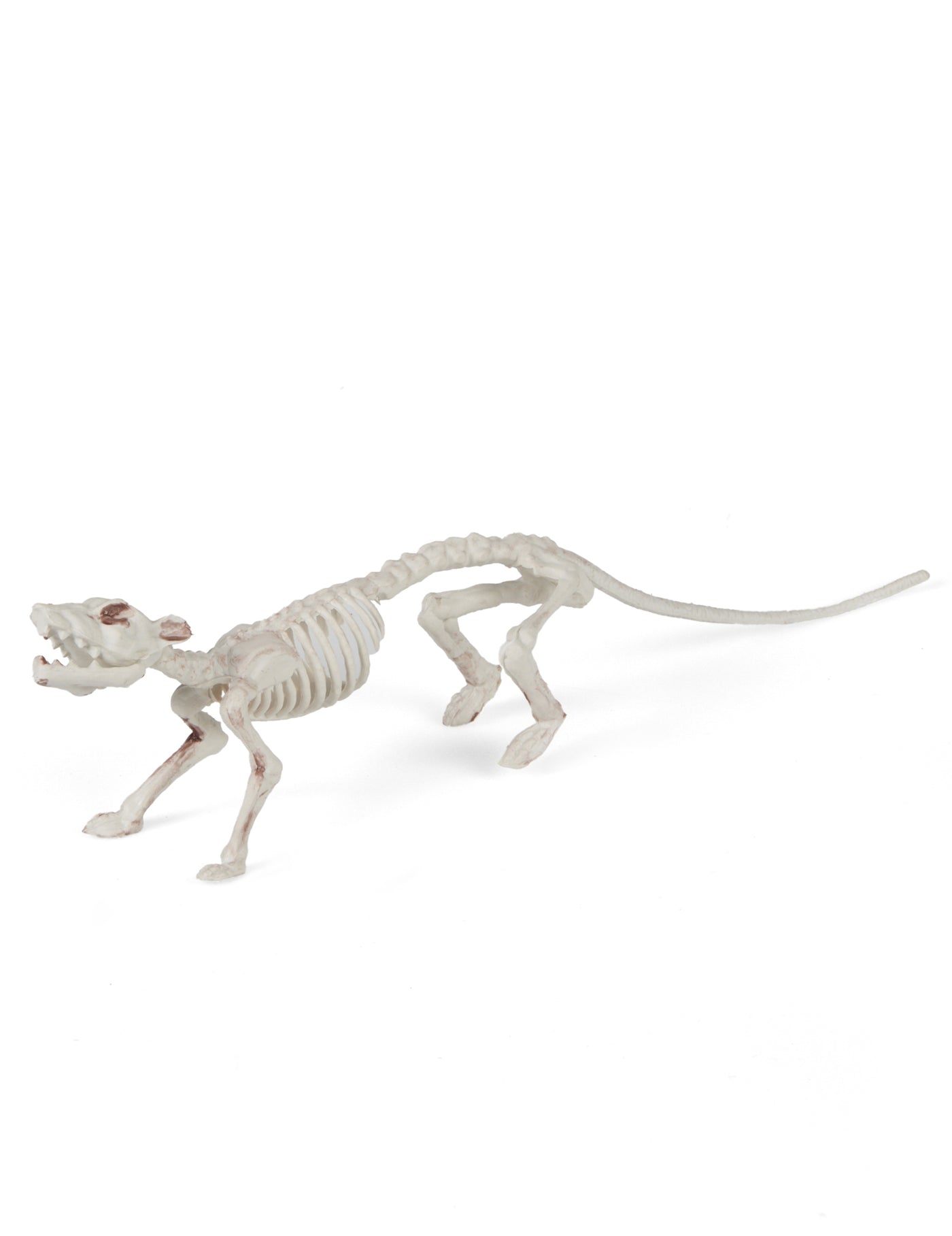 Décoration squelette rat 16 x 23 cm Halloween