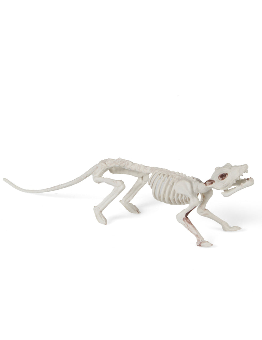 Décoration squelette rat 16 x 23 cm Halloween