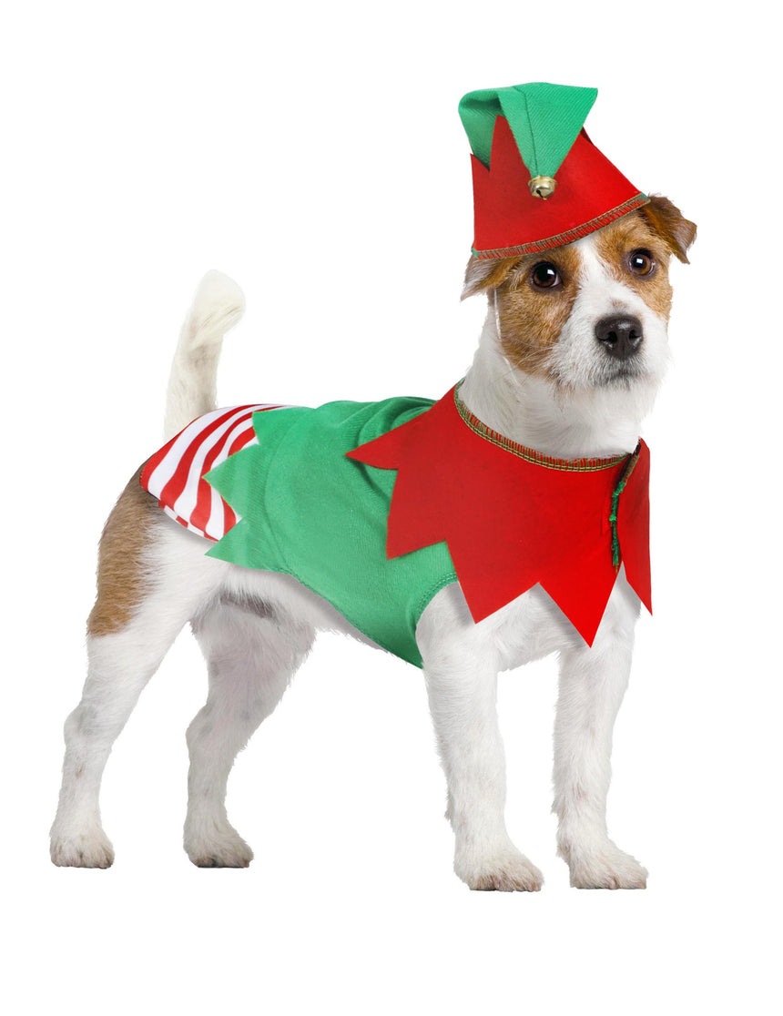 Déguisement elfe de Noël pour chien