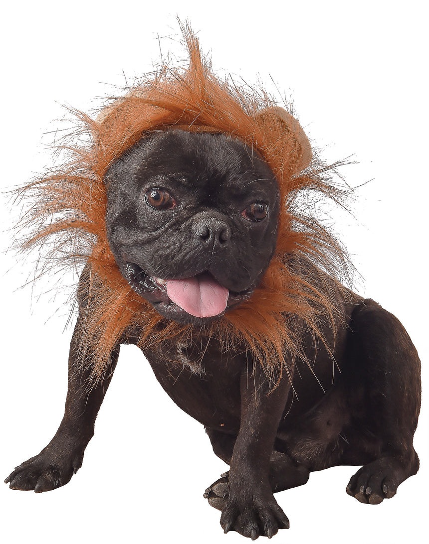 Déguisement lion pour chien