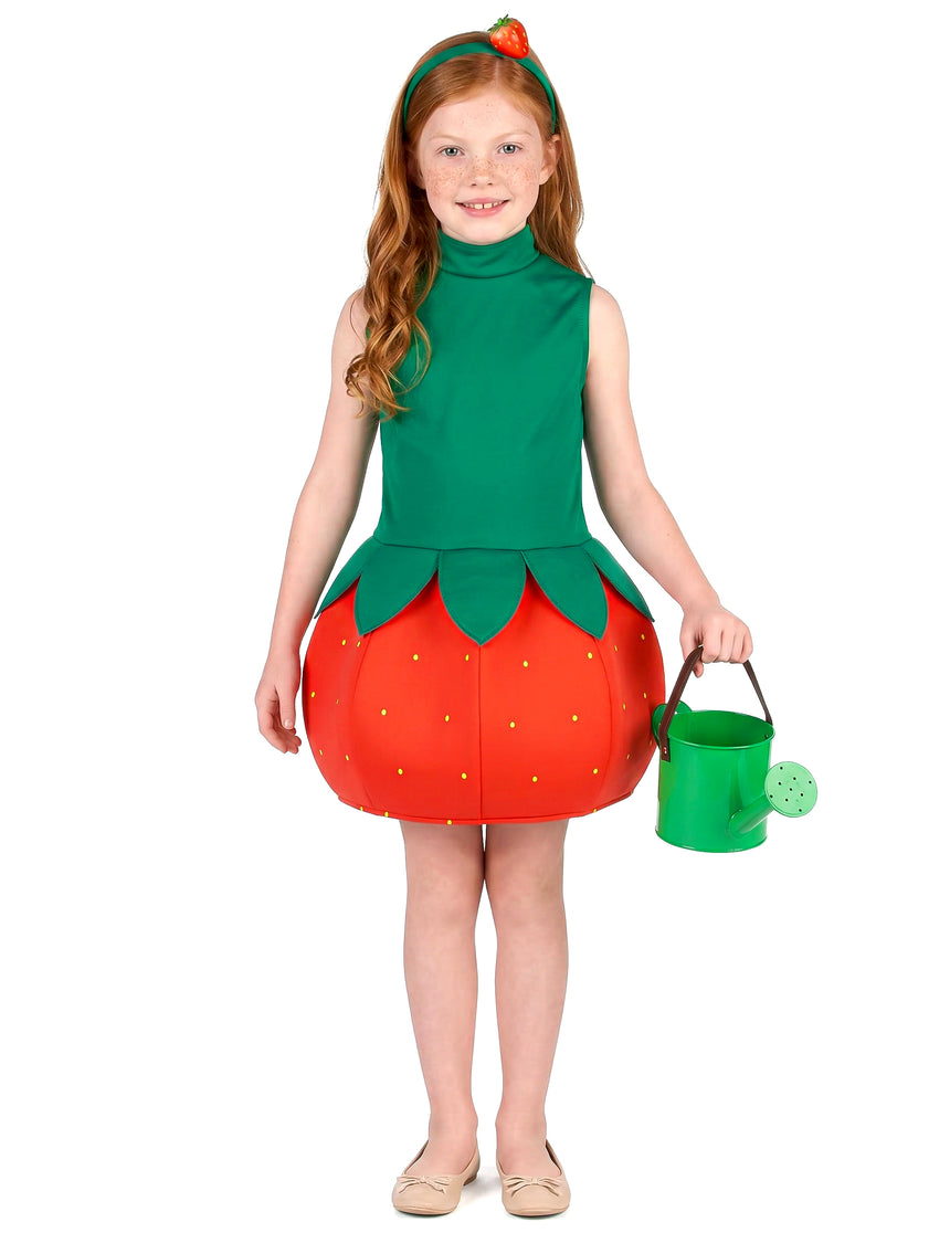Déguisement robe fraise fille