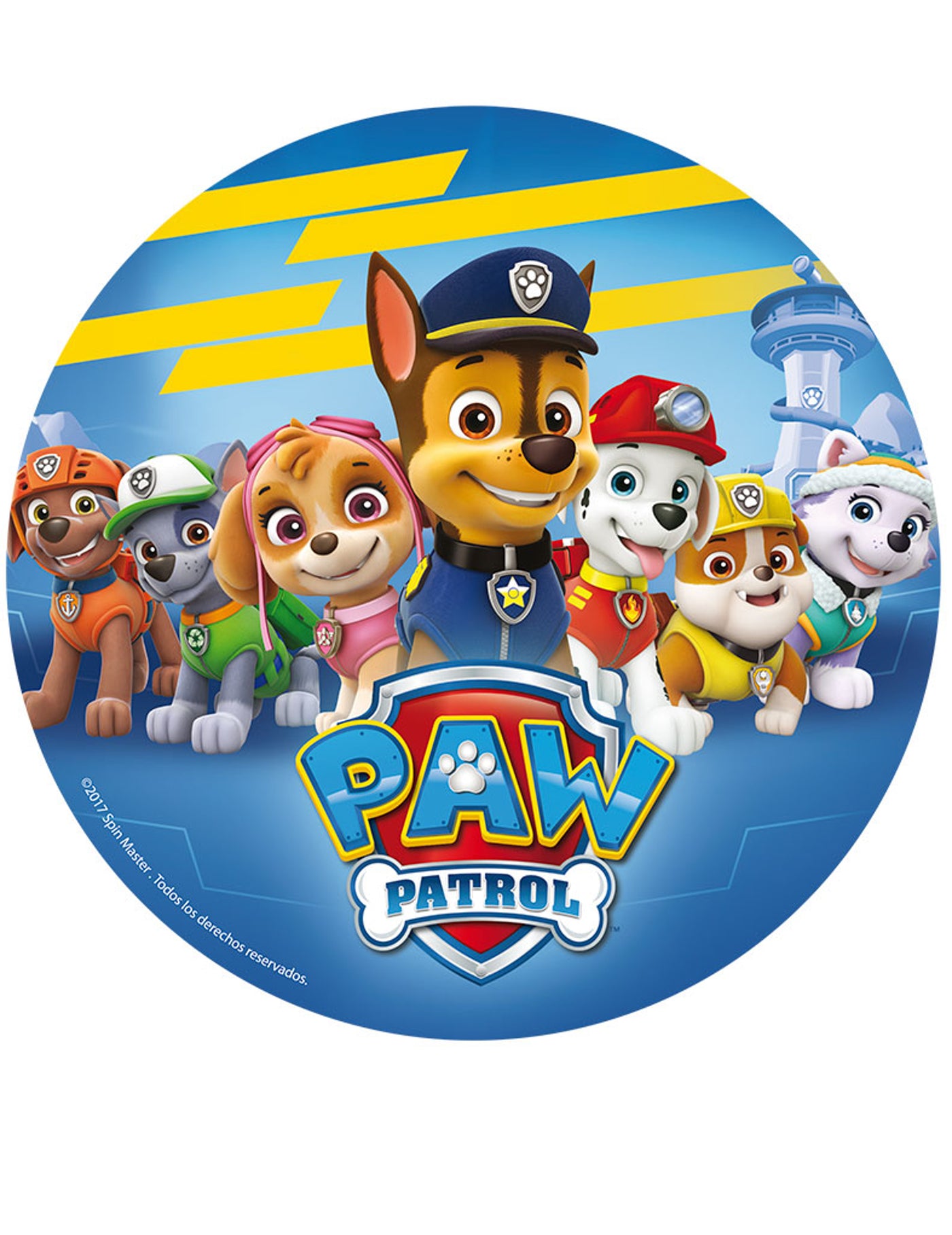 Disques azyme 20 cm Pat'Patrouille - Paw Patrol