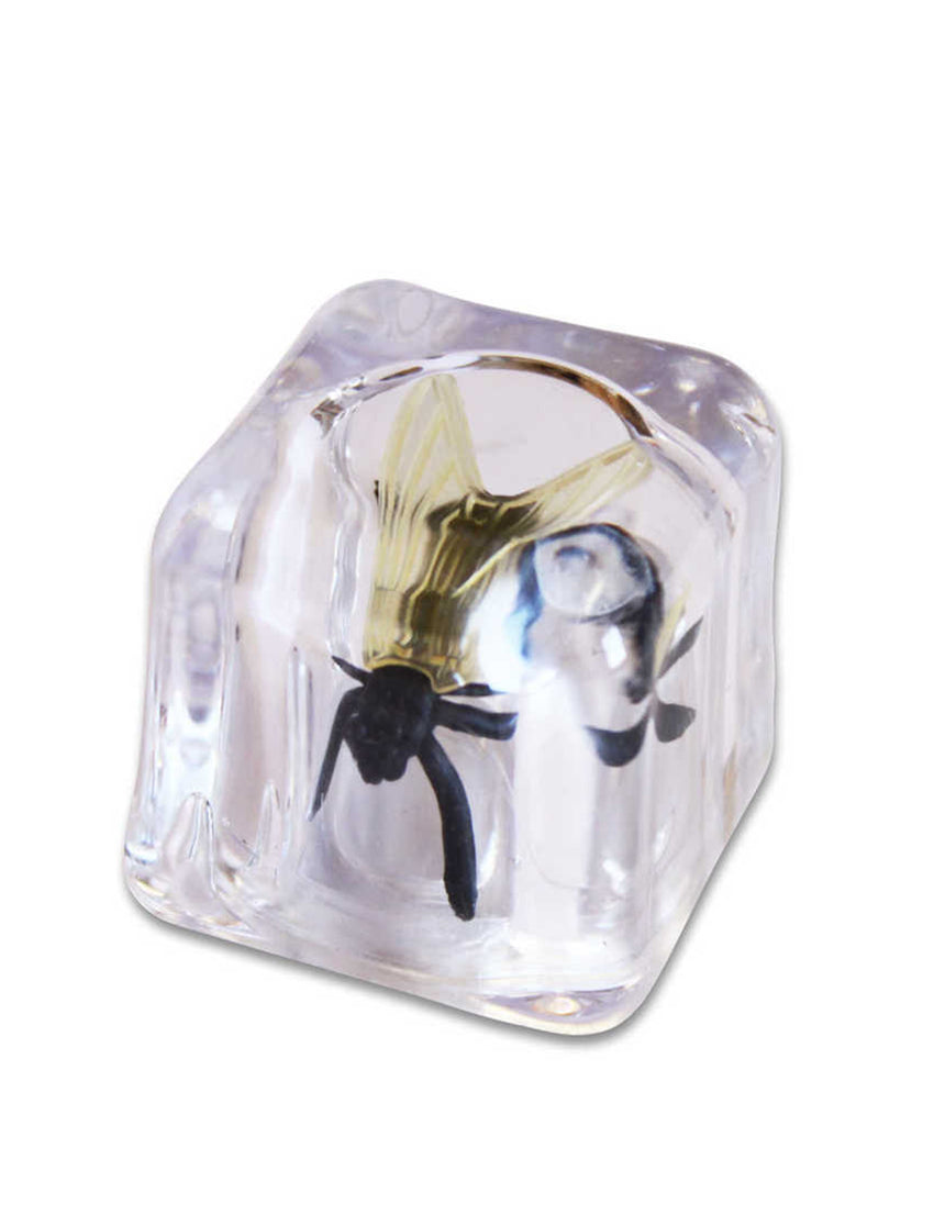 Faux glaçon avec mouche - farces et attrapes