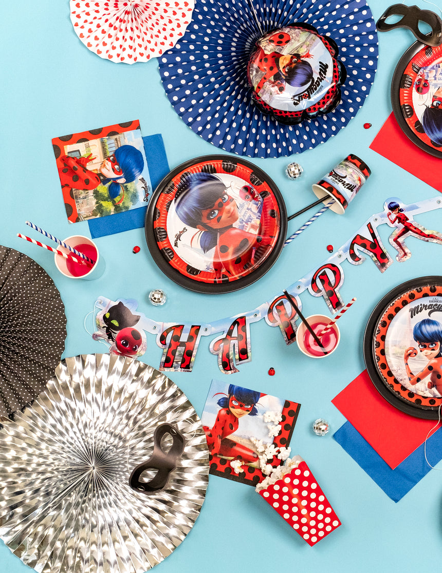 Guirlande en carton Happy Birthday Ladybug 170 cm