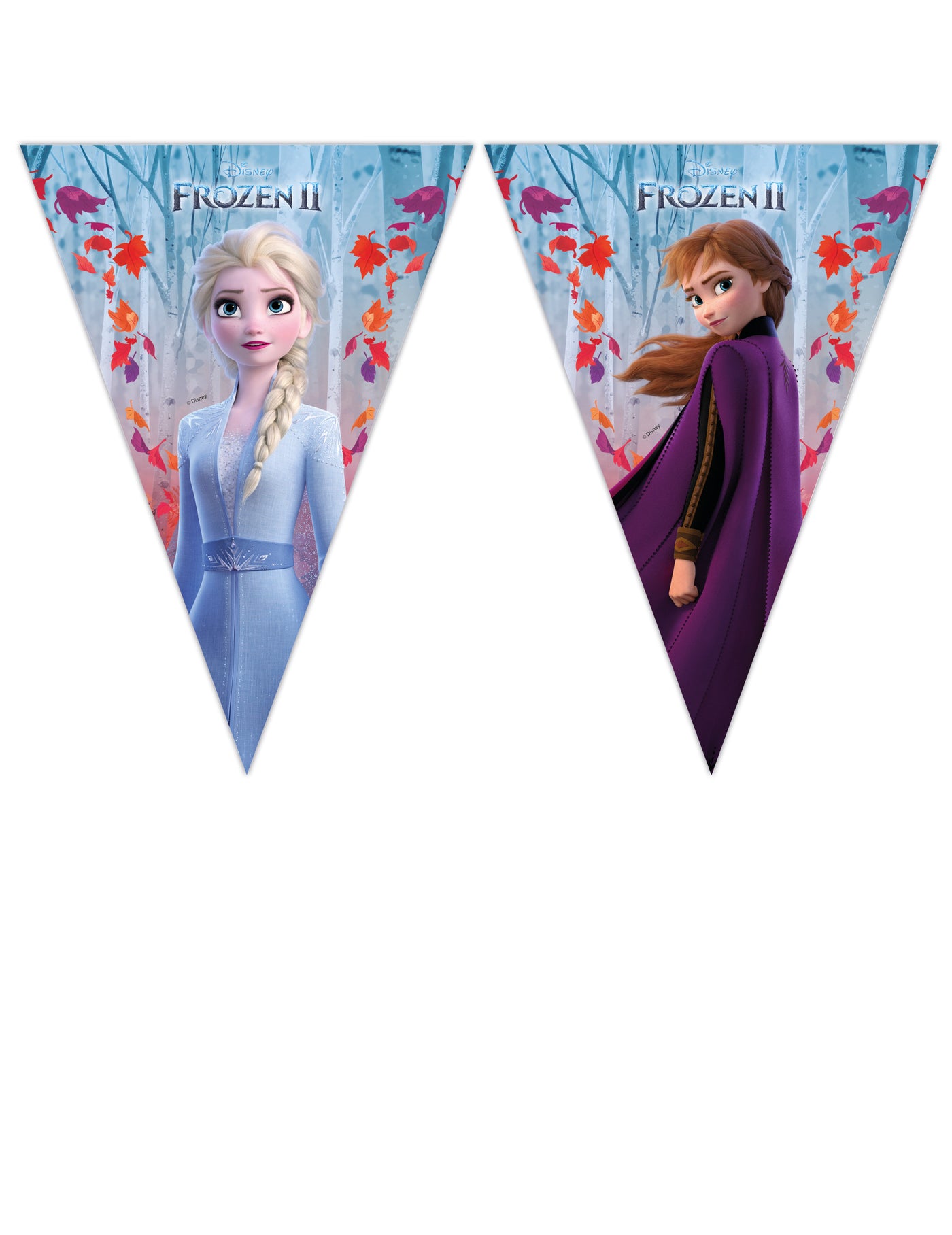 Guirlande fanion La Reine des Neiges 2 230 x 25 cm