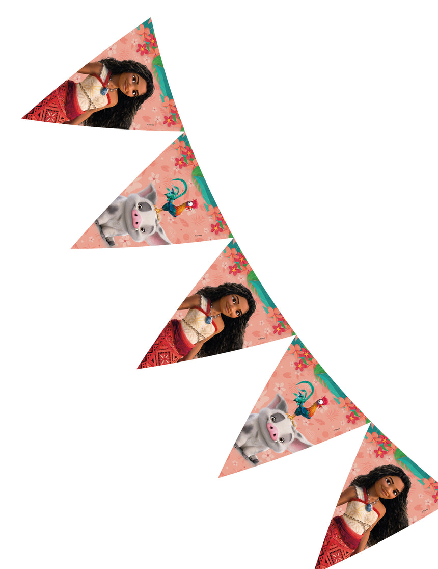Guirlande fanions Vaiana 2