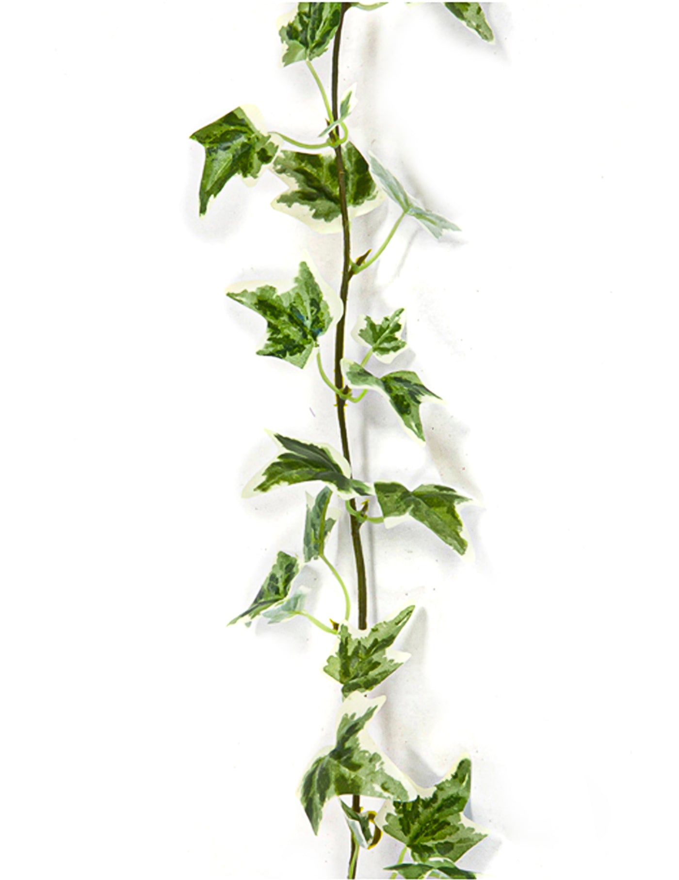 Guirlande lierre artificielle panaché 1,4 m