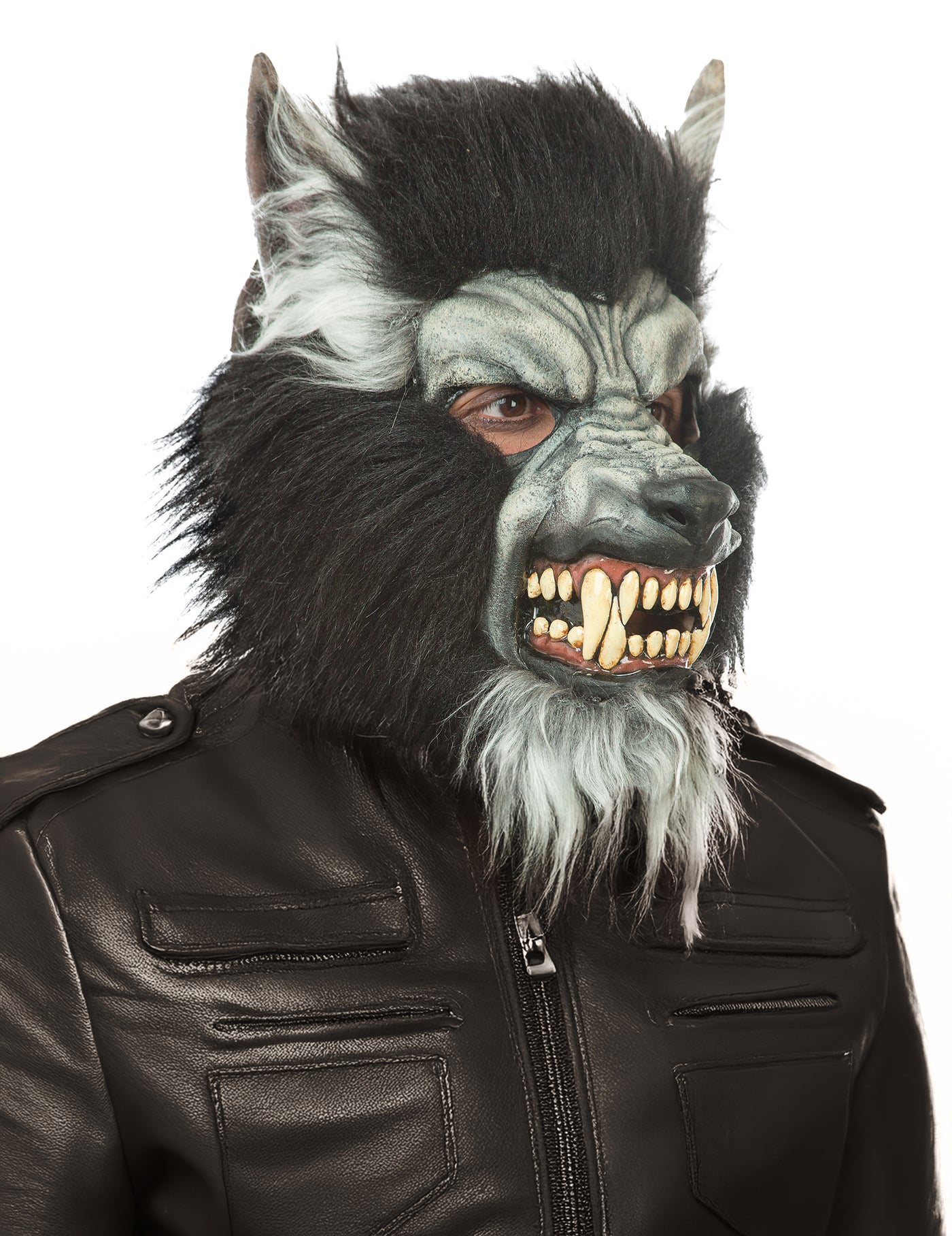 Masque intégral loup garou gris adulte