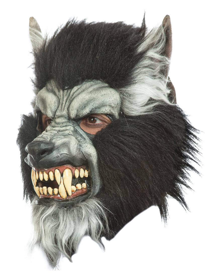 Masque intégral loup garou gris adulte