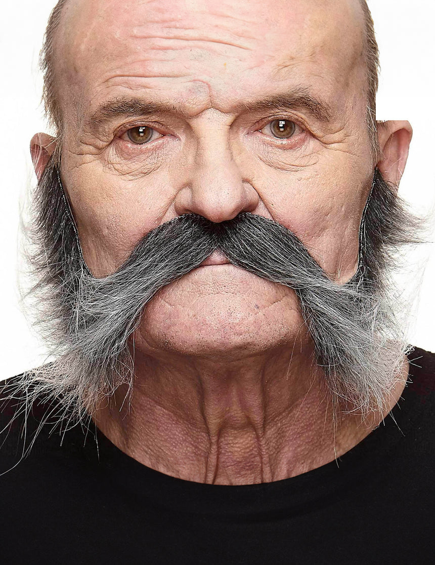 Moustache avec pattes grisonnantes homme