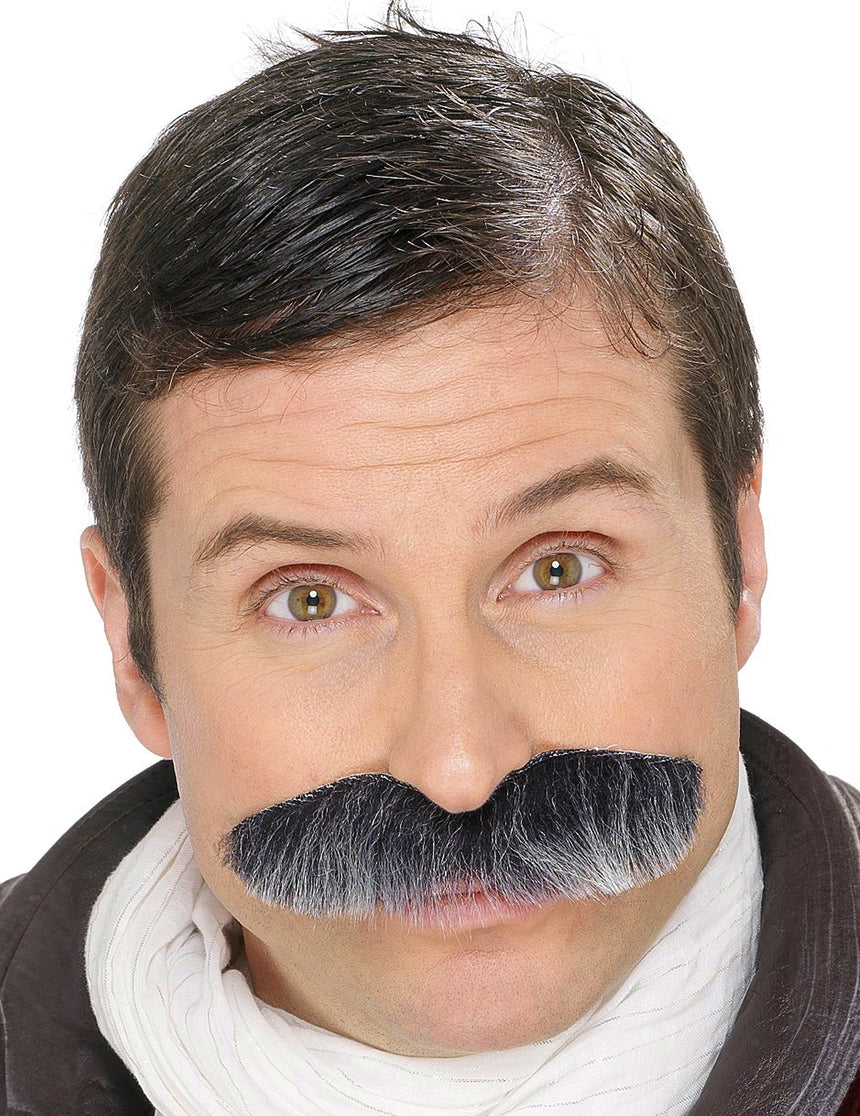 Moustache grisonnante adulte