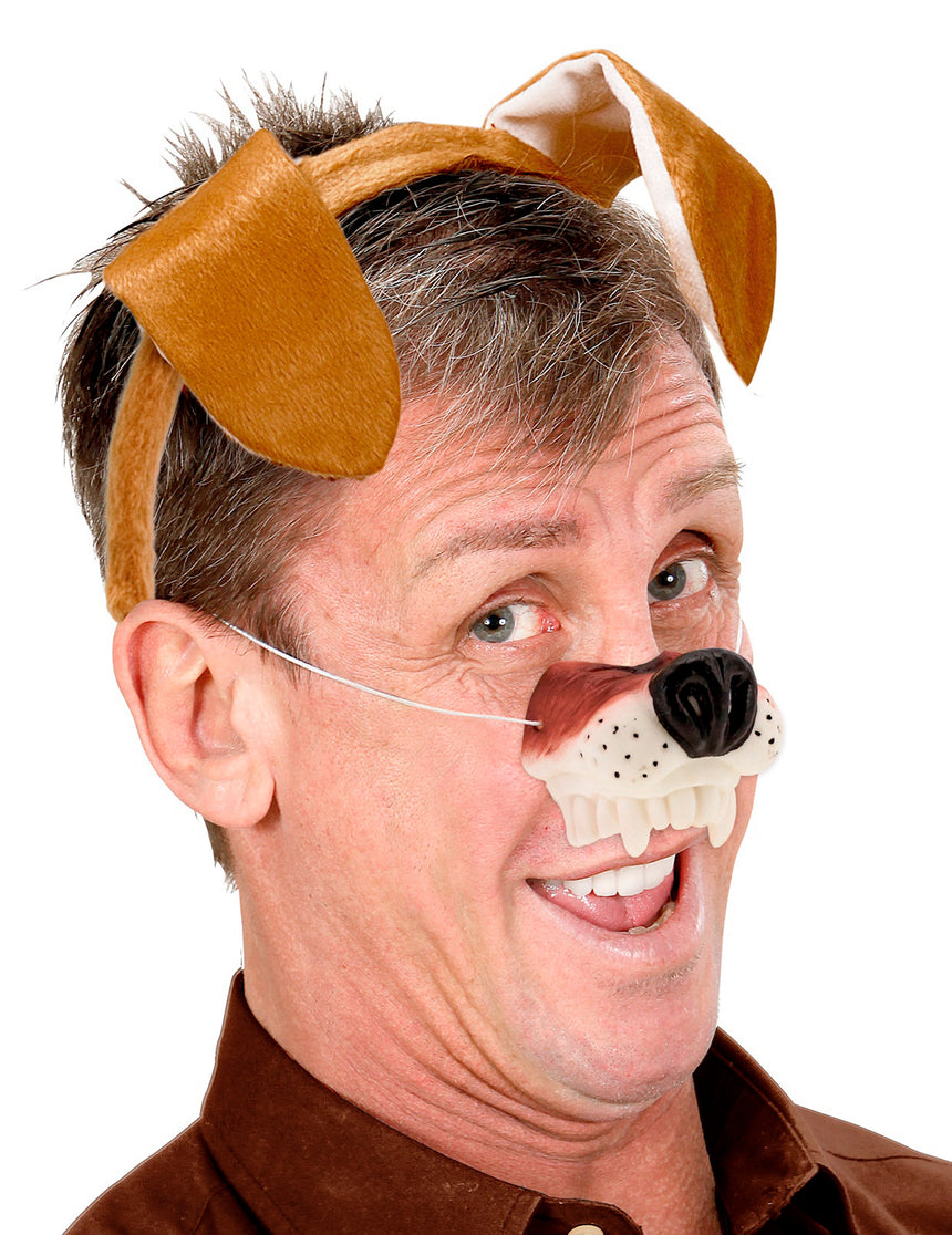 Nez chien adulte