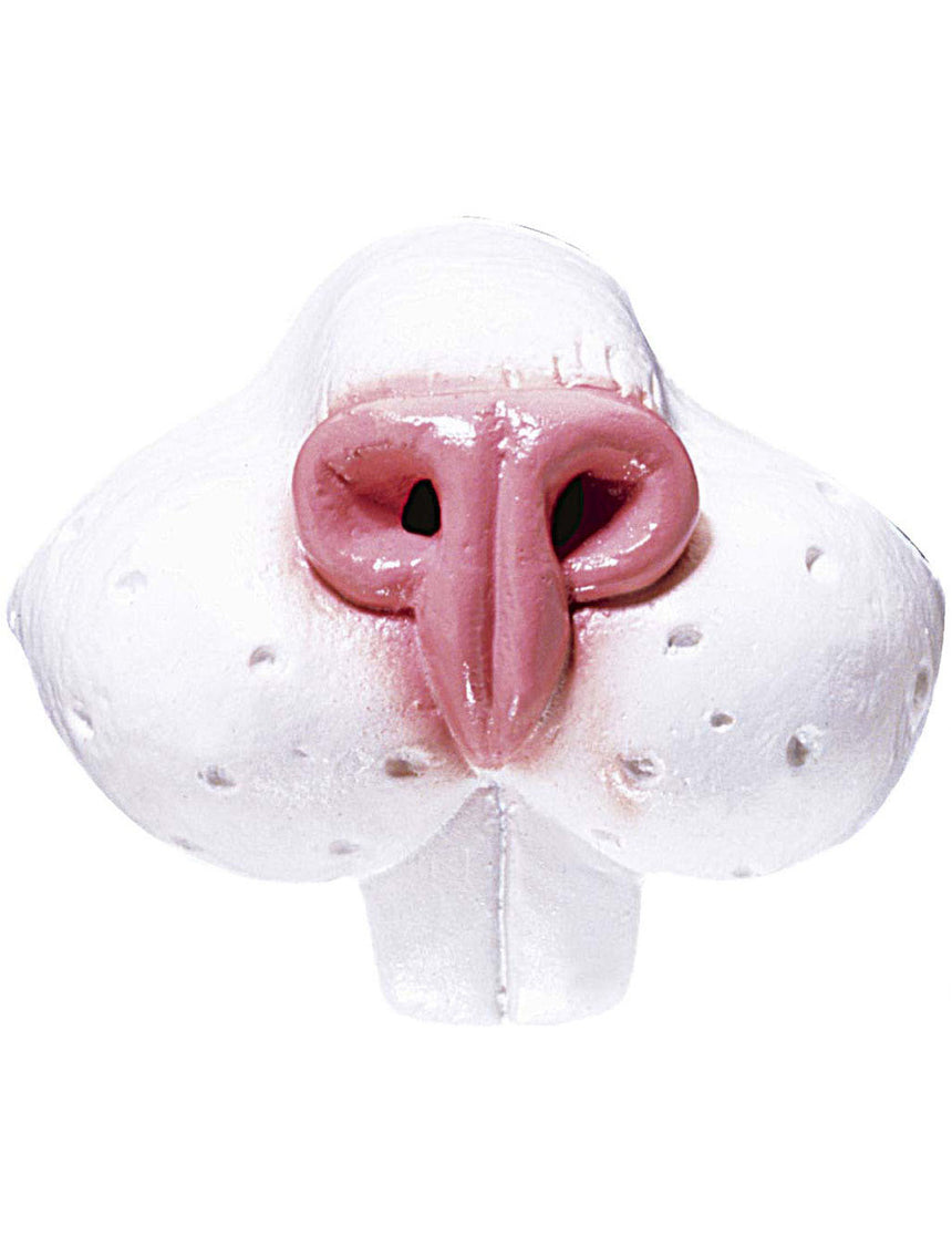 Nez lapin adulte