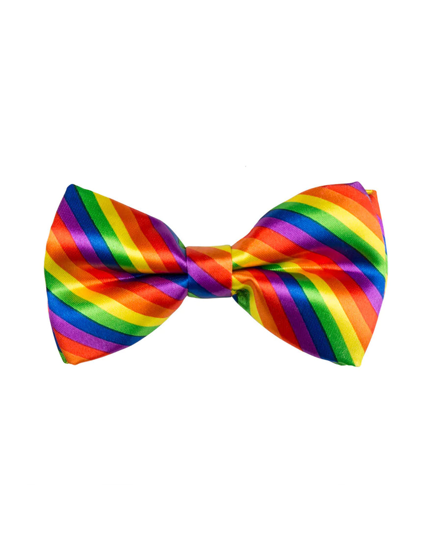 Noeud papillon multicolore adulte