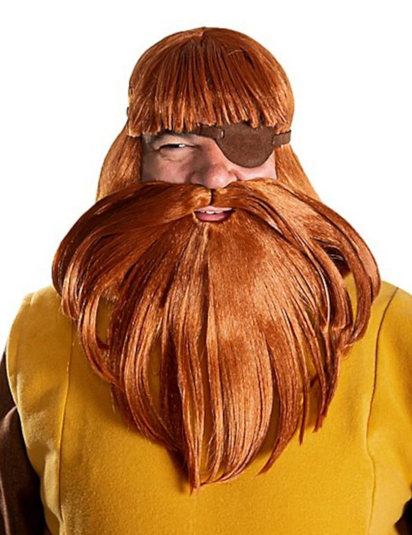 Perruque et barbe Halvar Vic le Viking homme