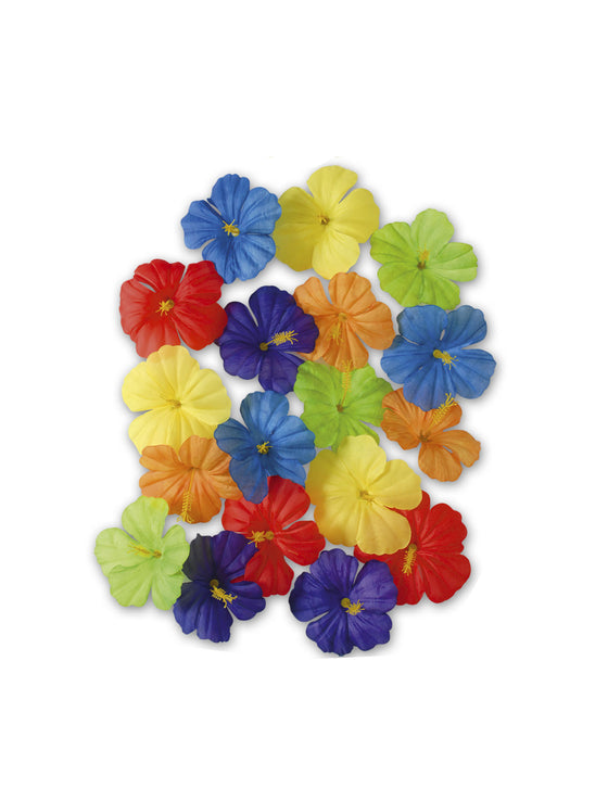 Fleurs multicolores