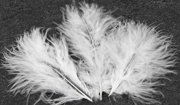 20 plumes de décoration blanches 5,5 cm pour mariage