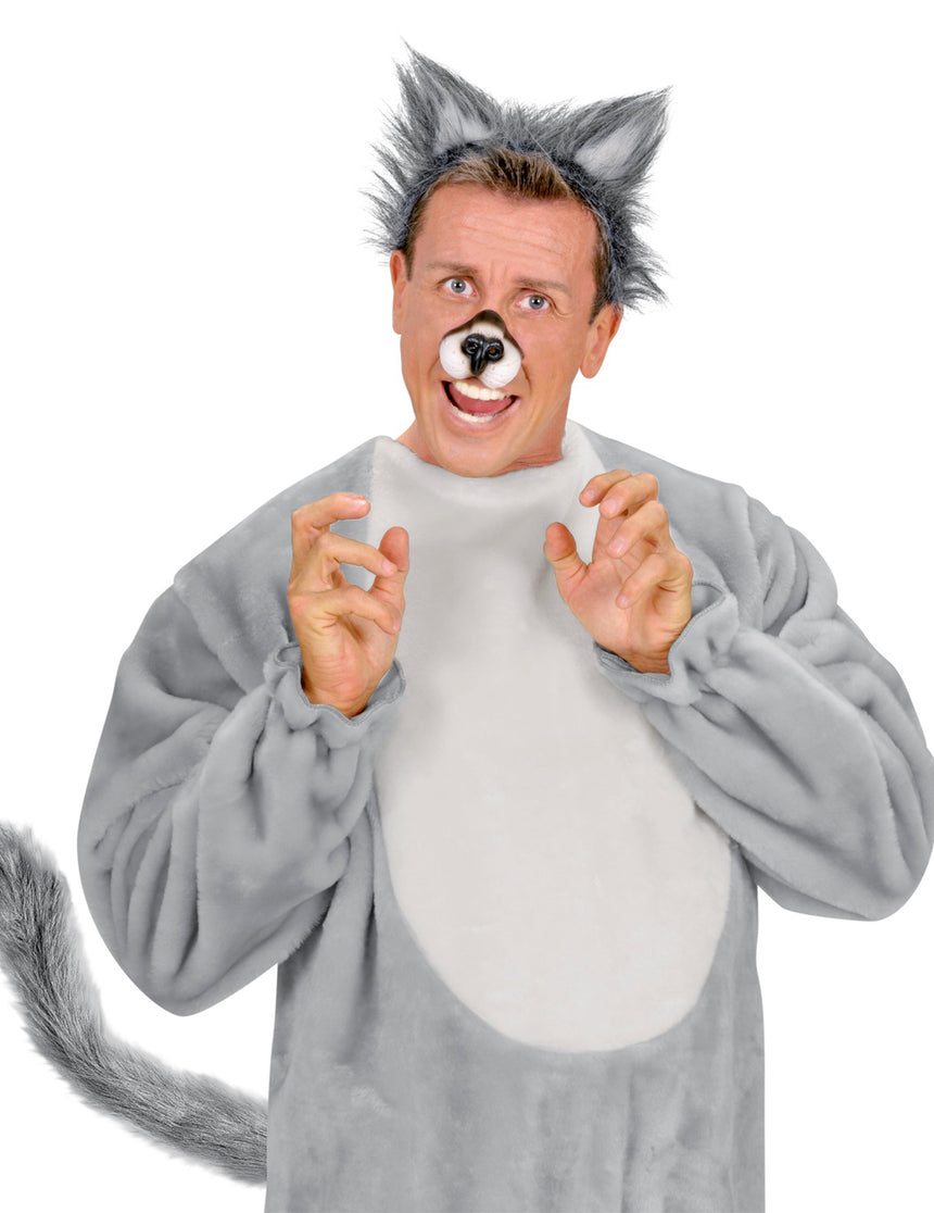 Queue de loup adulte